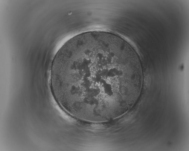 X0000112111383200908111431