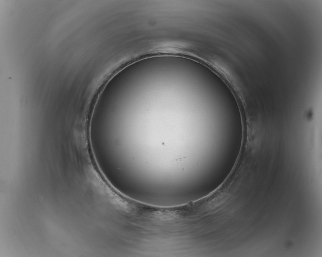 X0000112111384200908111431