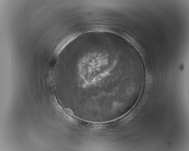 X0000112111385200908111431