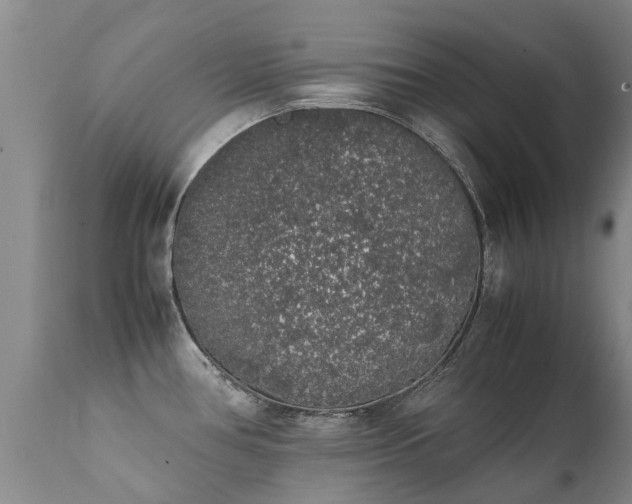 X0000112111386200908111431