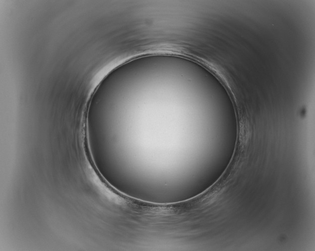 X0000112111387200908111431