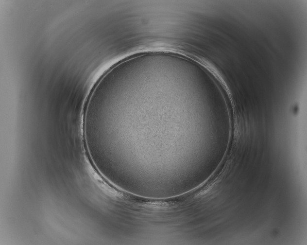 X0000112111388200908111431