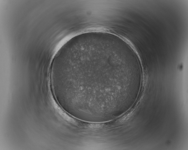 X0000112111389200908111431