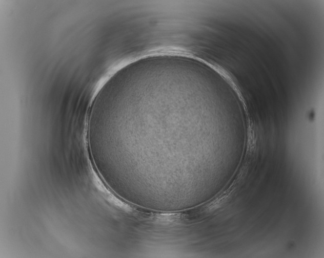 X0000112111390200908111431