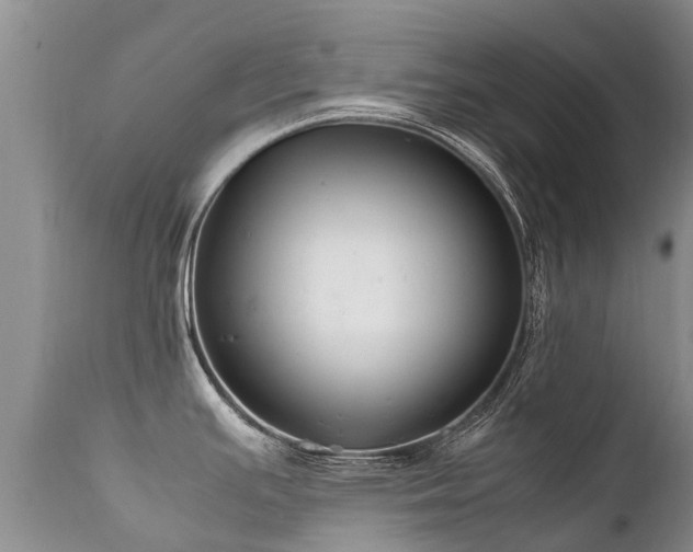 X0000112111391200908111431