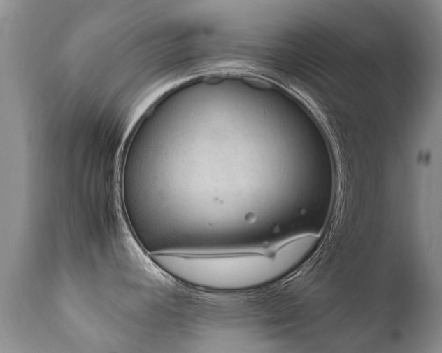 X0000112111392200908111431