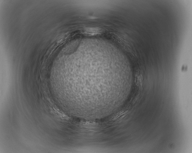 X0000112111393200908111430