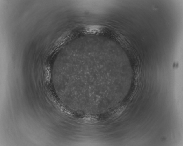 X0000112111394200908111430