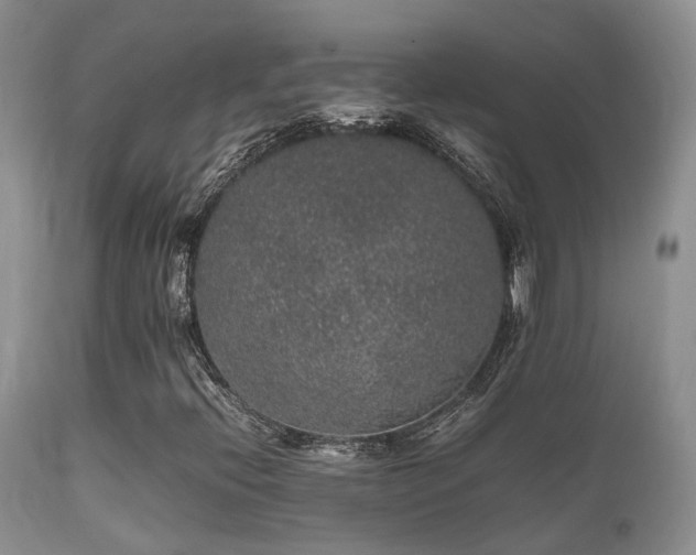 X0000112111396200908111430