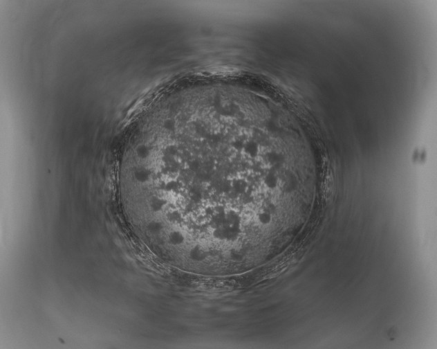 X0000112111397200908111430