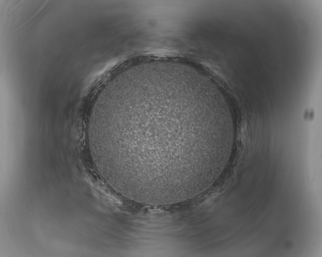 X0000112111398200908111431