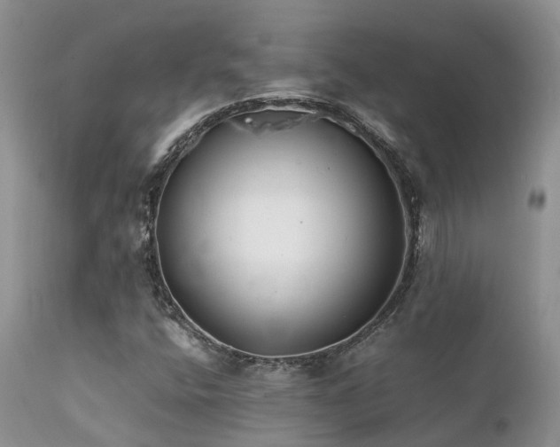 X0000112111400200908111431