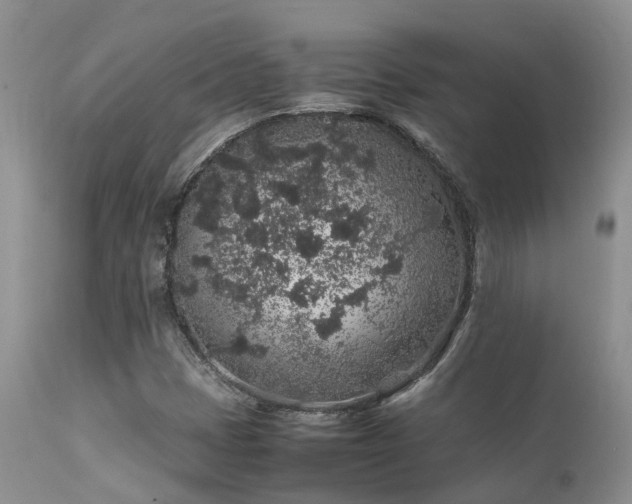 X0000112111401200908111431