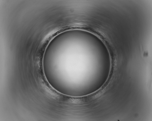 X0000112111402200908111431