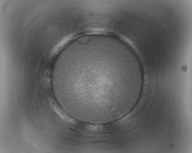 X0000112111403200908111431