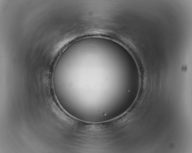 X0000112111404200908111431