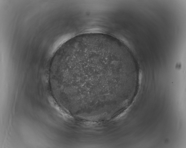 X0000112111405200908111431