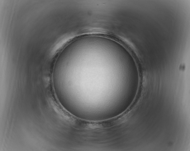 X0000112111407200908111431