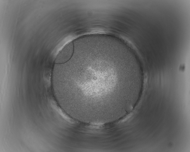 X0000112111409200908111431