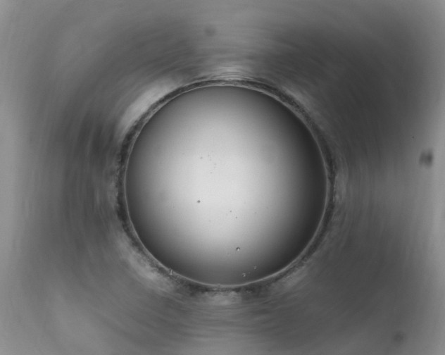 X0000112111410200908111431