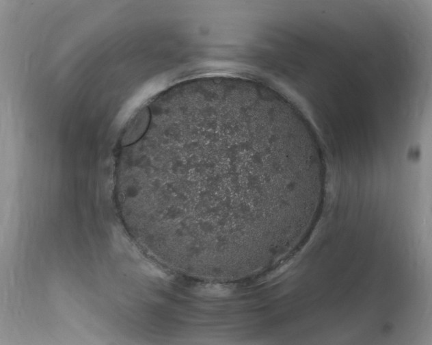 X0000112111411200908111431