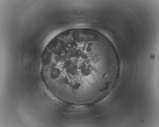 X0000112111413200908111431