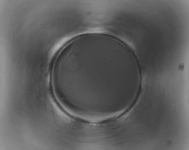 X0000112111414200908111431