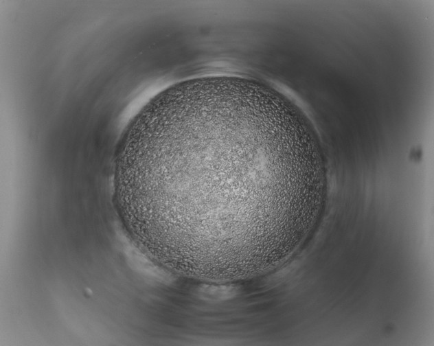 X0000112111415200908111431