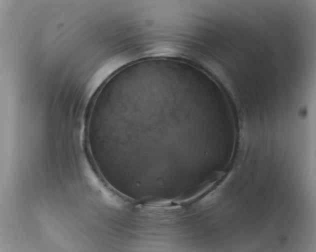 X0000112111418200908111431