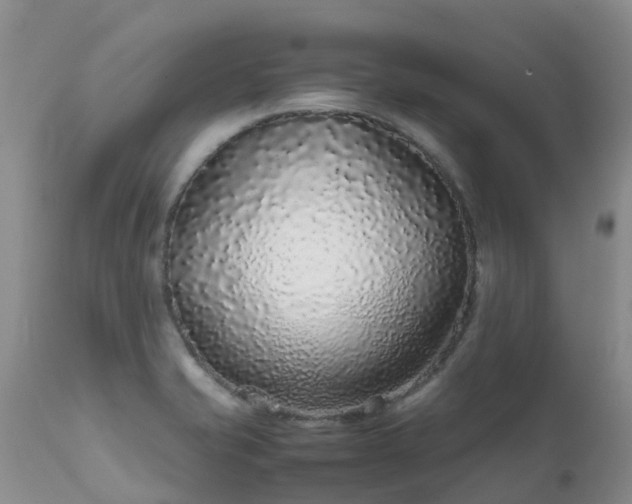 X0000112111421200908111431