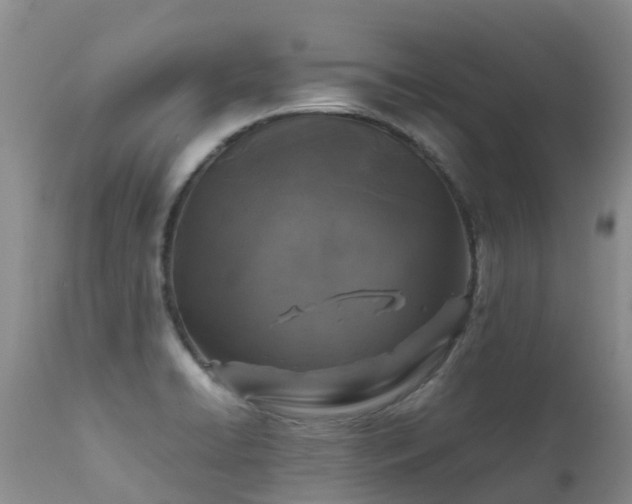 X0000112111422200908111431