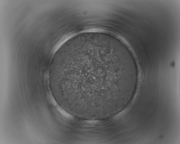 X0000112111425200908111431