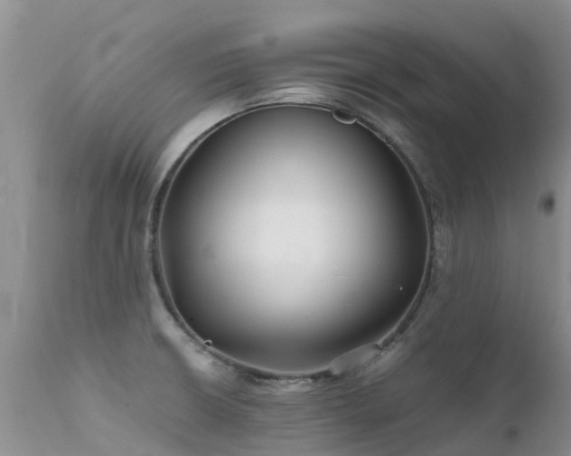 X0000112111426200908111431