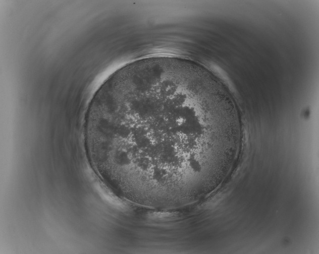 X0000112111427200908111431