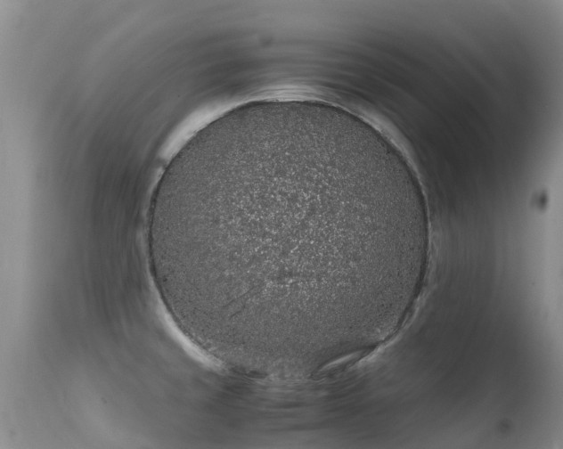 X0000112111429200908111431