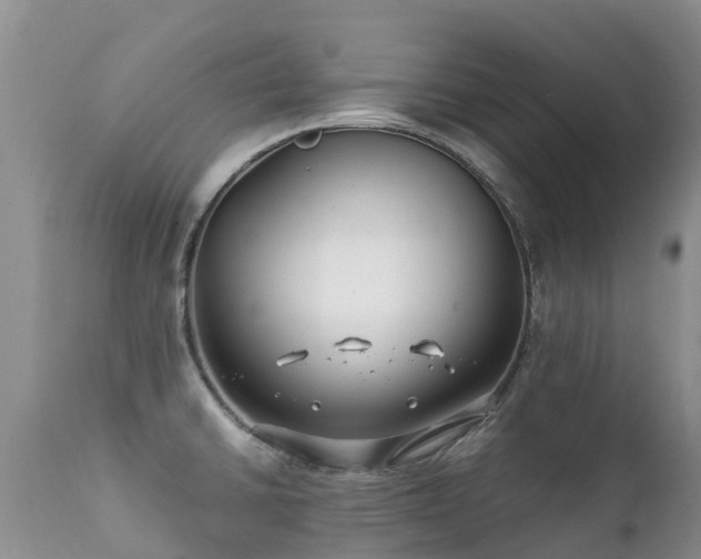 X0000112111430200908111431