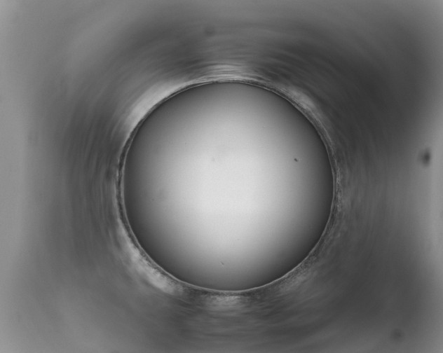 X0000112111431200908111431