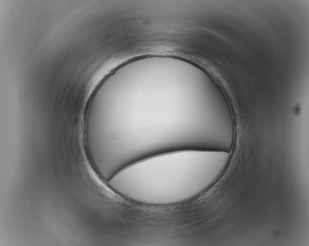 X0000112111432200908111431