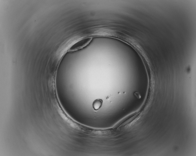 X0000112111433200908111431