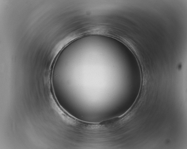 X0000112111434200908111431