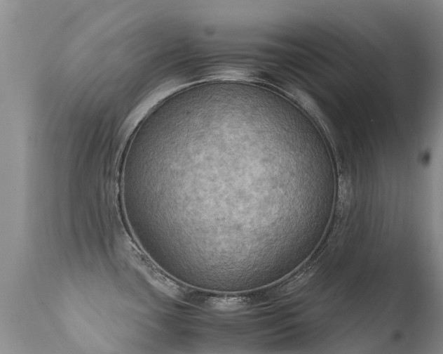 X0000112111435200908111431