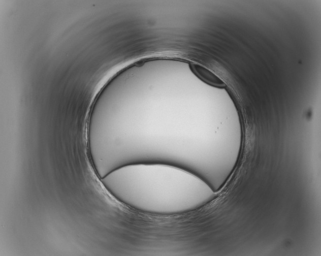 X0000112111436200908111431