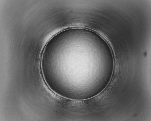 X0000112111437200908111431