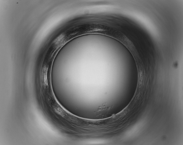 X0000112111439200908111431