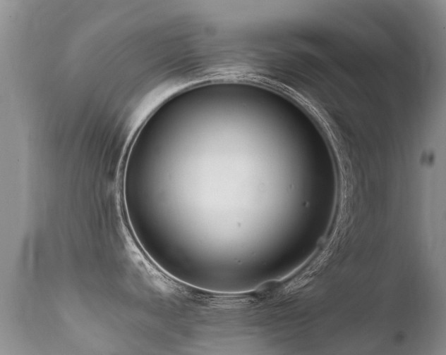 X0000112111440200908111431