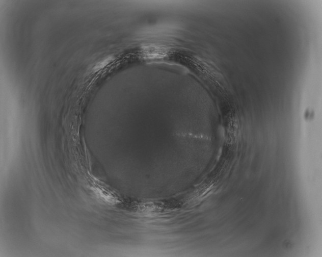 X0000112111441200908111430