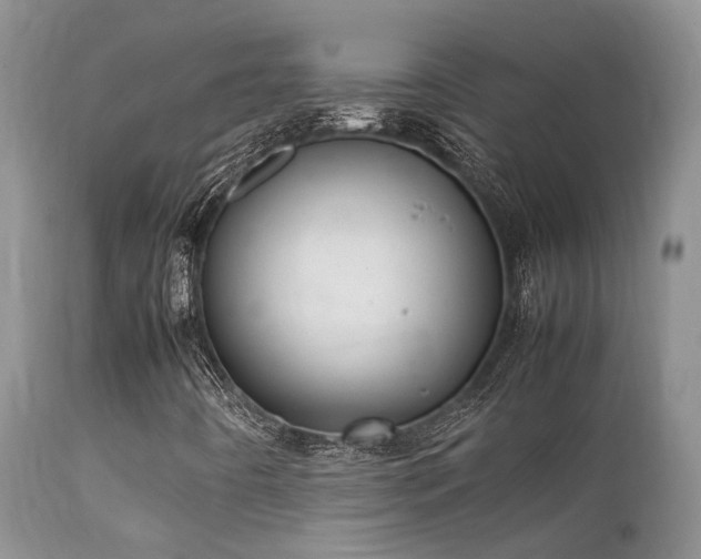 X0000112111442200908111430