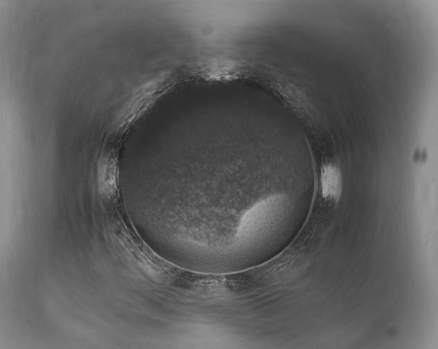 X0000112111444200908111430