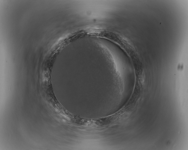 X0000112111445200908111430