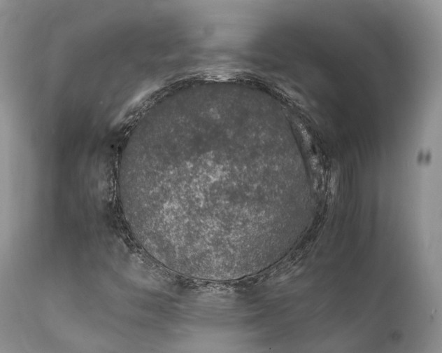 X0000112111446200908111430